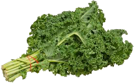 Glory  kale per pound Full-Size Picture